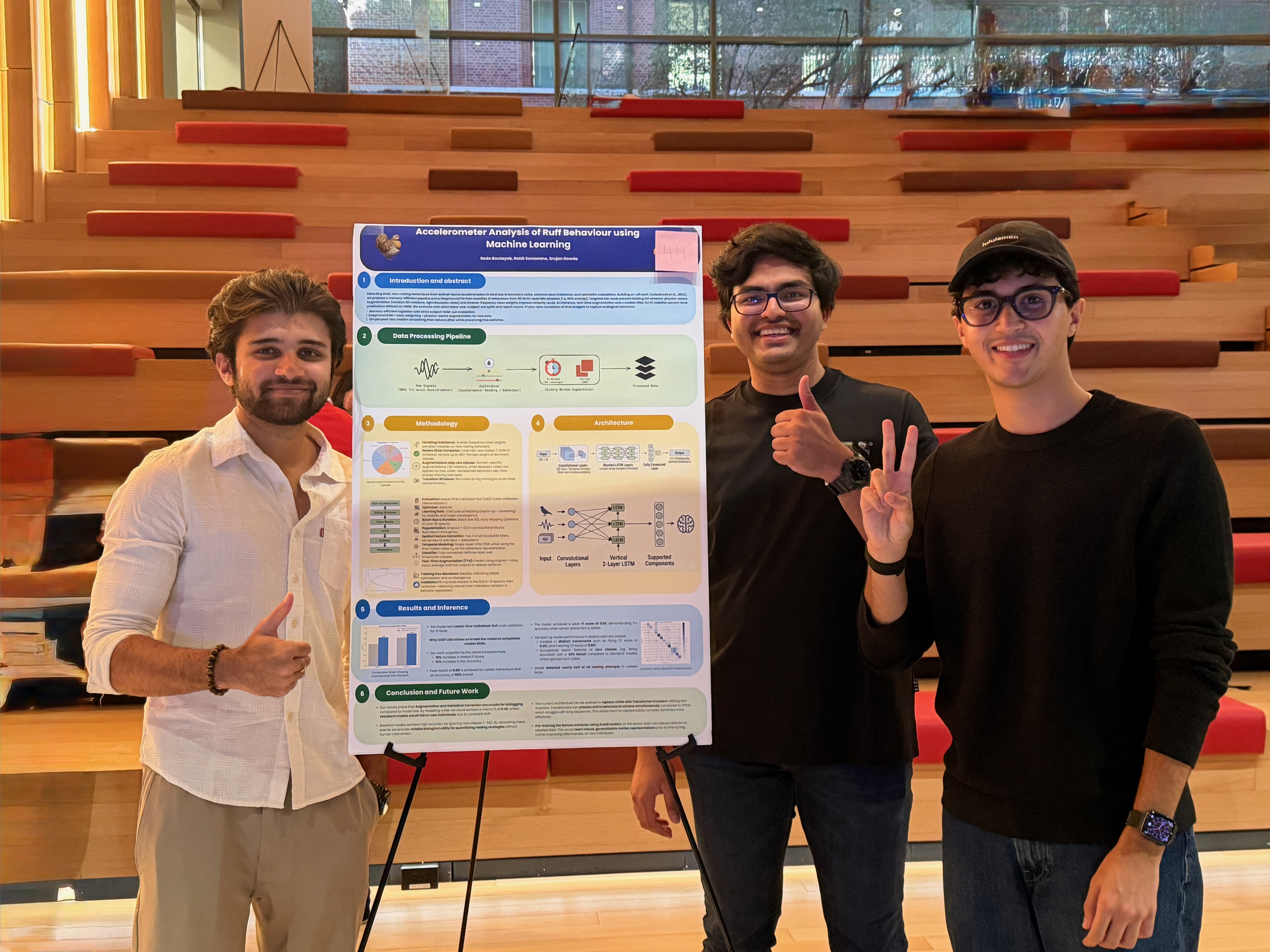 Ruff Behaviors Analysis